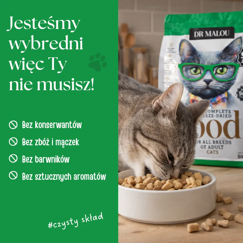 karma dla kota liofilizowana kurczak z łososiem.webp