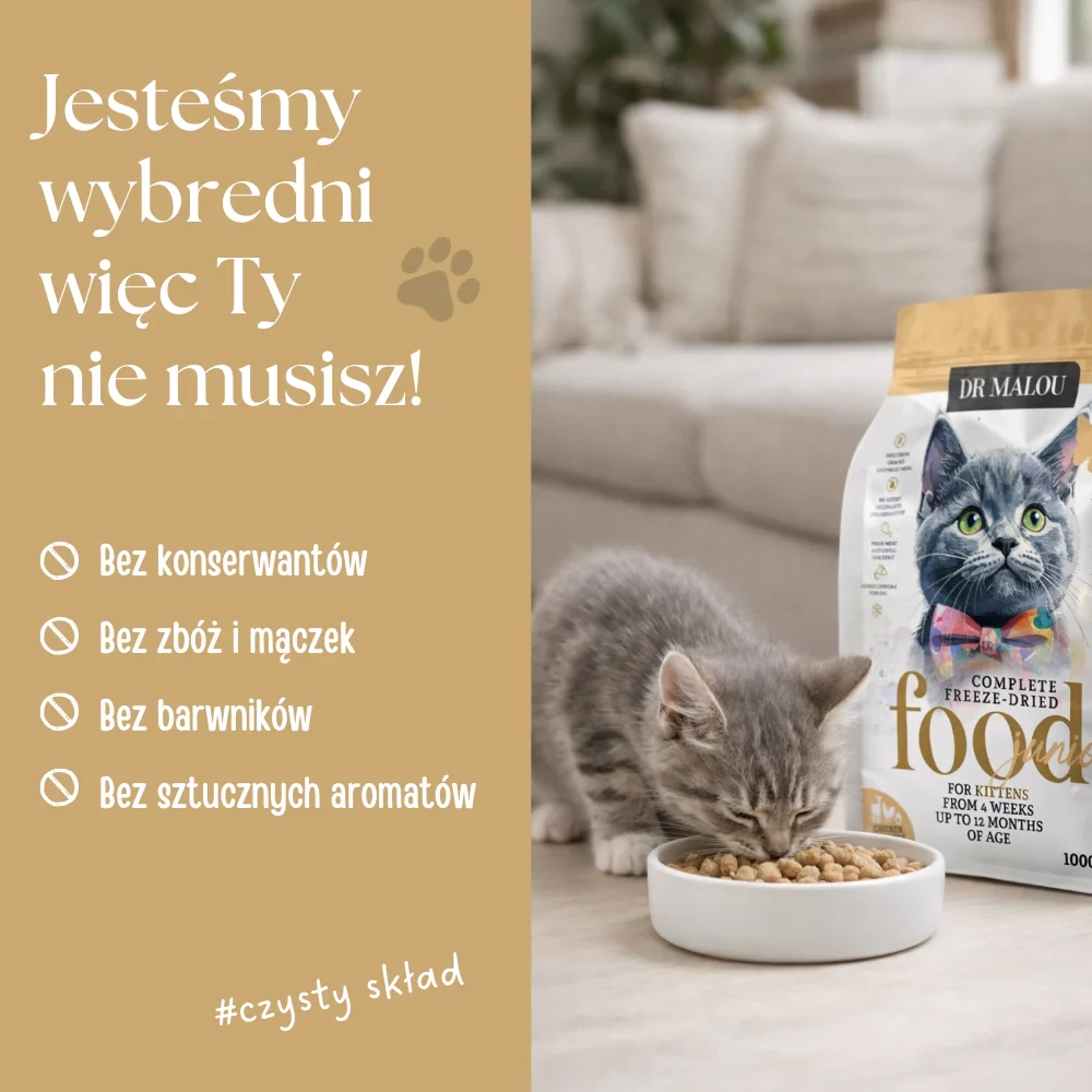 liofilizowana karma dla młodych kotów.webp