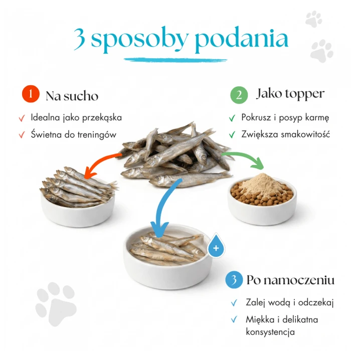 Kapelan (Gromadnik) dla kota i psa.png