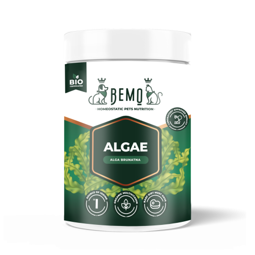 Bemo Algae - alga brunatna dla psa i kota.jpg