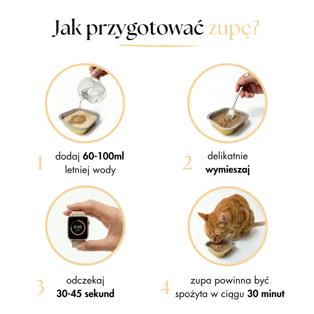 zupka dla kota.webp