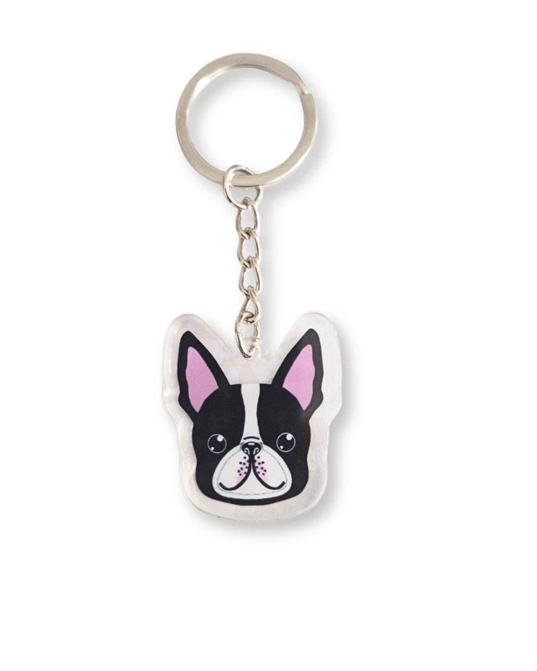 boston terrier.png