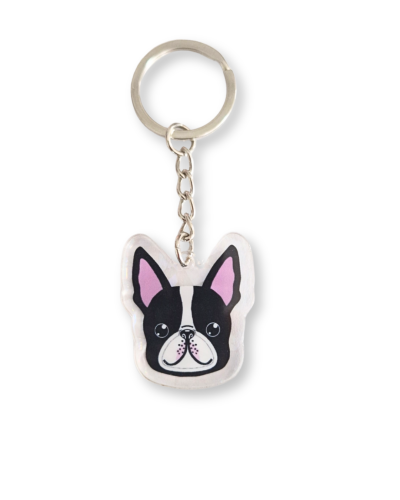 boston terrier.png